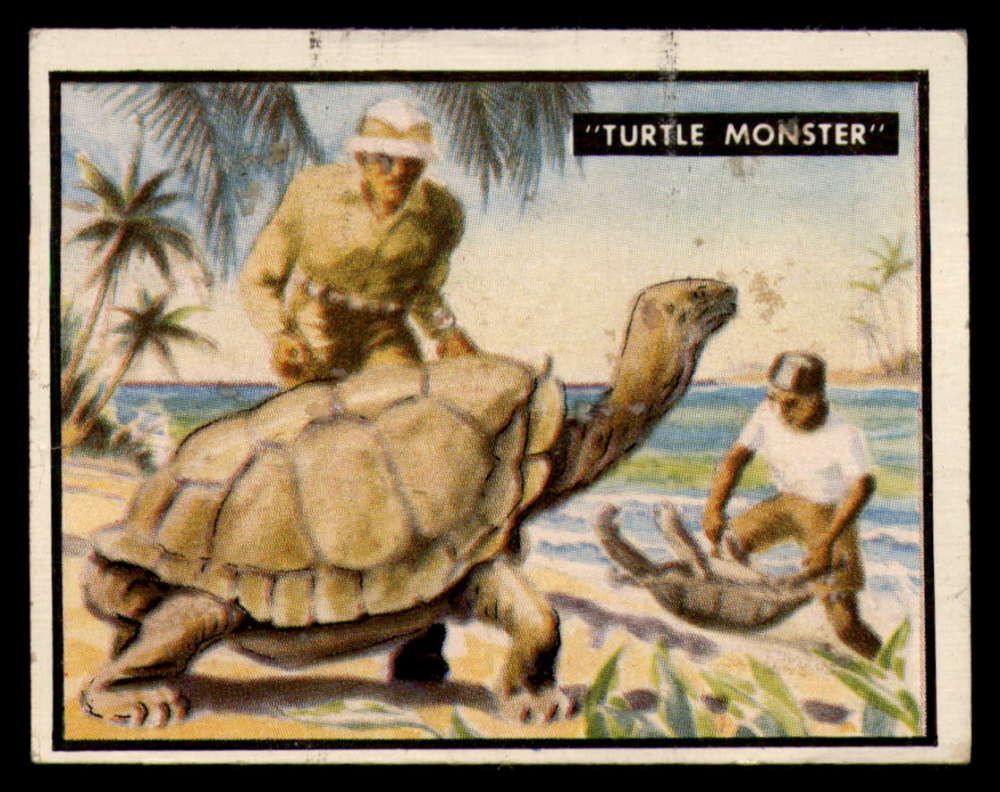 34 Turtle Monster